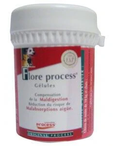 Flore Process 30 Gelules