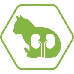 Purina Proplan Chat Sterilised Dinde 400 G -Boutique Trixie 07613033564673 f 07 pro plan cat rich in turkey 400g 43857078