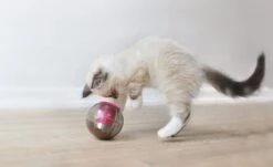 Balle Distributrice De Croquettes Catmosphère 7 Balle Distributrice De Croquettes Catmosphère -Boutique Trixie 274511 03