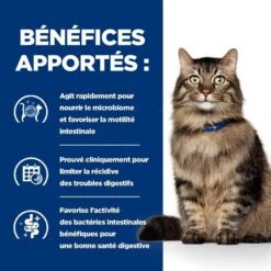 Hill's Prescription Diet Feline Gastrointestinal Biome Mijotés 24 X 82 G -Boutique Trixie 52742042084 4 prescription diet chat gastrointestinal biome croquettes poulet 2