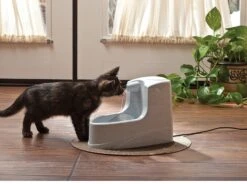 Pet Safe Fontaine Mini Drinkwell 1.2 L 7 Pet Safe Fontaine Mini Drinkwell 1.2 L -Boutique Trixie 813h5qp5egl. sl1500 1