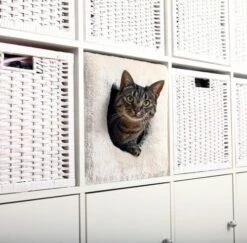 Trixie Abri Douillet 37 × 33 × 33 Cm Gris Clair -Boutique Trixie abridouillet