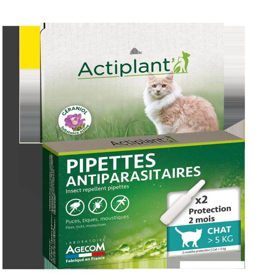 Actiplant Pipettes Antiparasitaires Chat >5 Kg X2 3 Actiplant Pipettes Antiparasitaires Chat >5 Kg X2 – Image 2