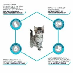 Advance Kitten Chaton Au Poulet 1,5 Kg -Boutique Trixie advance kitten chaton au poulet 1 5 kg 2 1