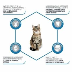 Advance Sterilized Chat à La Dinde 3 Kg -Boutique Trixie advance sterilized chat la dinde 3 kg 3 1