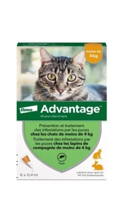 Advantage 40 Chat Et Lapin De 1 à 4 Kg 6 Pipettes -Boutique Trixie advantage 40 chat et lapin de 1 a 4 kg 6 pipettes