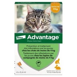 Advantage 40 Chat Et Lapin De 1 à 4 Kg Pipettes X4 -Boutique Trixie advantage 40 chat et lapin de 1 a 4 kg pipettes x4