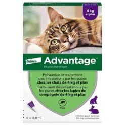 Advantage 80 Chat Et Lapin + De 4 Kg Pipettes X4 5 Advantage 80 Chat Et Lapin + De 4 Kg Pipettes X4 -Boutique Trixie advantage 80 chat et lapin de 4 kg pipettes x4