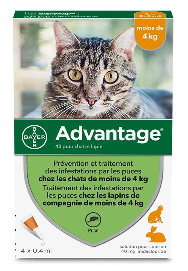 Advantage 40 Chat Et Lapin De 1 à 4 Kg Pipettes X4