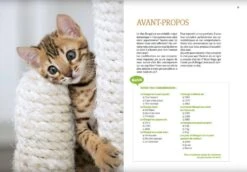 Livre - Bengale -Boutique Trixie bengale 3 1