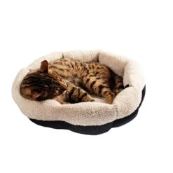 Bobby Nid Astride Taupe 45 Cm - Destockage -Boutique Trixie bobby nid astride