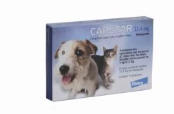 Capstar 11.4 Mg Pour Chat Et Petit Chien -Boutique Trixie capstar 11.4 mg pour chat et petit chien