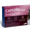 Capstar 11.4 Mg Chat -Boutique Trixie capstarchat 1 2