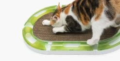 Cat It Griffoir Ovale Senses 2.0 -Boutique Trixie cat it griffoir ovale senses 2.0 2 1