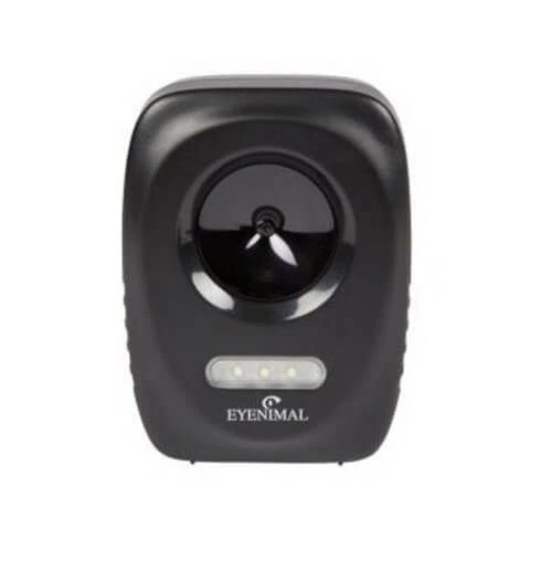 Eyenimal Cat Stop 3 Eyenimal Cat Stop