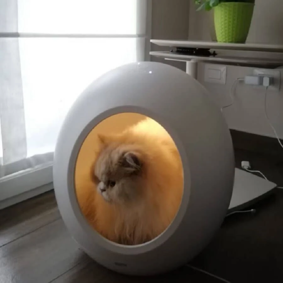 Croci Dôme Domus Intelligent 5 Croci Dôme Domus Intelligent – Image 3