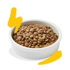 Edgard & Cooper Dinde & Poulet Chat 2 Kg -Boutique Trixie edgard cooper dinde poulet chat 2 kg 3