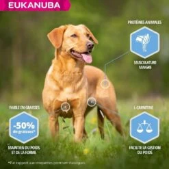 Eukanuba Daily Care Adult Overweight Petite Et Moyenne Race Poulet 12 Kg -Boutique Trixie eukanuba daily care weight control small medium breed