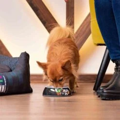 For Fan Pets Gamelle Star Wars M -Boutique Trixie for fan pets gamelle star wars m 3