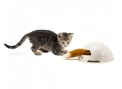 Frolicat Fox Jeu Automatique Pour Chat -Boutique Trixie frolicat fox jeu casse te te automatique pour chat2