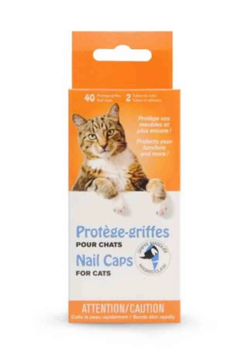 Protège-griffe Griffe Masquée Pour Chat Transparent XS 3 Protège-griffe Griffe Masquée Pour Chat Transparent XS