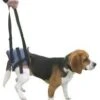 Harnais Handy Canis Pattes Arrières XS 2 Harnais Handy Canis Pattes Arrières XS -Boutique Trixie handycanis arriere 1