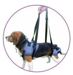 Harnais Handy Canis Pattes Arrières XS 10 Harnais Handy Canis Pattes Arrières XS -Boutique Trixie handycanis complet