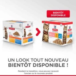 Hill's Science Plan Hill's Science Plan Feline Adult Light Pack Mixte Sachets 12 X 85 Grs -Boutique Trixie hill s science plan feline adult light pack mixte sachets 12 x 85 grs 1 3