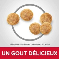 Hill's Science Plan Hill's Science Plan Feline Senior 11+ Poulet 3 Kg -Boutique Trixie hill s science plan feline senior 11 poulet 3 kg3