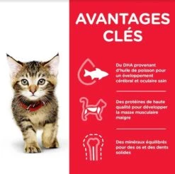 Hill's Science Plan Hill's Science Plan Feline Kitten Poulet 3 Kg -Boutique Trixie hill s science plan kitten poulet 3 kg2