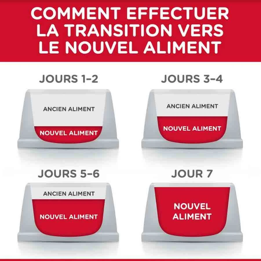 Hill's Science Plan Hill's Science Plan Feline Adult Poulet 15 Kg 6 Hill's Science Plan Hill's Science Plan Feline Adult Poulet 15 Kg – Image 4