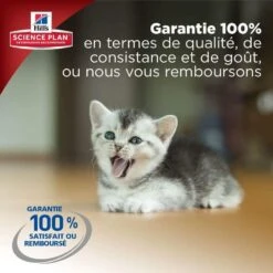 Hill's Science Plan Hill's Science Plan Feline Kitten Poulet 3 Kg -Boutique Trixie hill s science plan kitten poulet 3 kg4