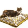Homycat Coussin Pour Chat XL Jaune - Destockage -Boutique Trixie homycat coussin pour chat xl jaune