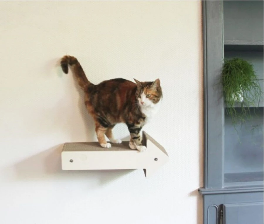 Homycat Griffoir Flèche + 1 Module Pour Chat - Destockage 4 Homycat Griffoir Flèche + 1 Module Pour Chat - Destockage – Image 2