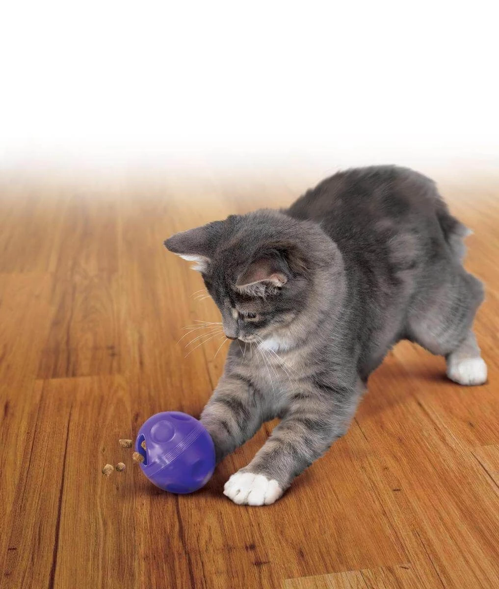 KONG Cat Treat Ball Jouet Distributeur Pour Chat – Image 2