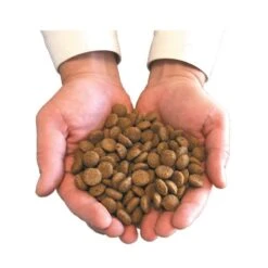 Felichef Croquettes BIO Sans Céréales, Sans Gluten Chaton 800 G -Boutique Trixie main avec croquettes 3 9