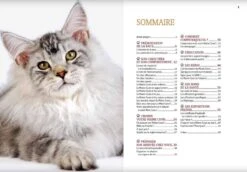 Livre - Maine Coon -Boutique Trixie maine coon2
