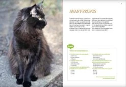 Livre - Maine Coon -Boutique Trixie maine coon3