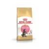 Royal Canin Maine Coon Kitten 2 Kg -Boutique Trixie mc kit pack 2