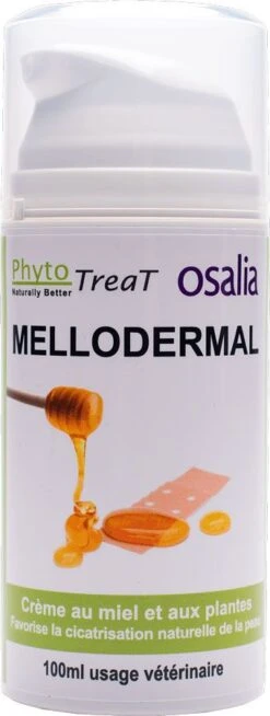 Mellodermal Crème Au Miel De Sarrasin 100 Ml