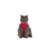 Medical Pet Shirt Chat XXXS 1 Medical Pet Shirt Chat XXXS -Boutique Trixie mps cat1 5
