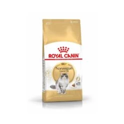 Royal Canin Chat Norvégien Adult 2 Kg