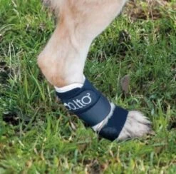 Orthese Balto Carpe Et Tarse XS -Boutique Trixie orthese balto carpe et tarse3 1