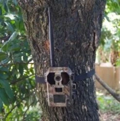 Piège Photographique PIE1010 -Boutique Trixie p3 1