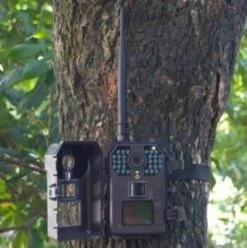 Piège Photographique PIE1010 -Boutique Trixie p4 1