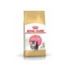 Royal Canin Persian Kitten 4 Kg 1 Royal Canin Persian Kitten 4 Kg -Boutique Trixie pers kit pack 1