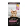ProPlan Skin & Coat + Chat 150 Ml -Boutique Trixie pro plan skin coat chat 150 ml