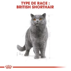 Royal Canin British Shorthair Adult 4 Kg -Boutique Trixie royal canin british shorthair adult 4 kg 2
