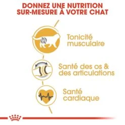 Royal Canin British Shorthair Adult 4 Kg -Boutique Trixie royal canin british shorthair adult 4 kg 4