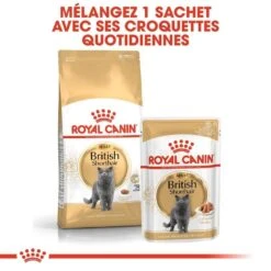 Royal Canin British Shorthair Adult 4 Kg -Boutique Trixie royal canin british shorthair adult 4 kg 5